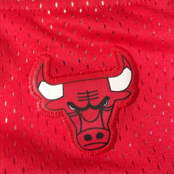 Chicago Bulls Rodman Jersey - Picture 8 of 15